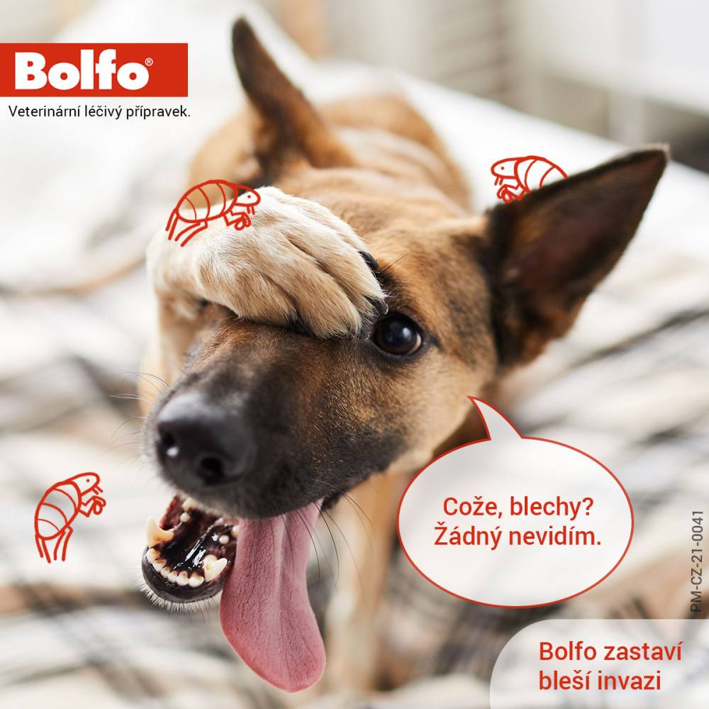 Obrázok BOLFO medikovaný obojok pre veľké psy 70 cm 4.442 g 1 kus (4)