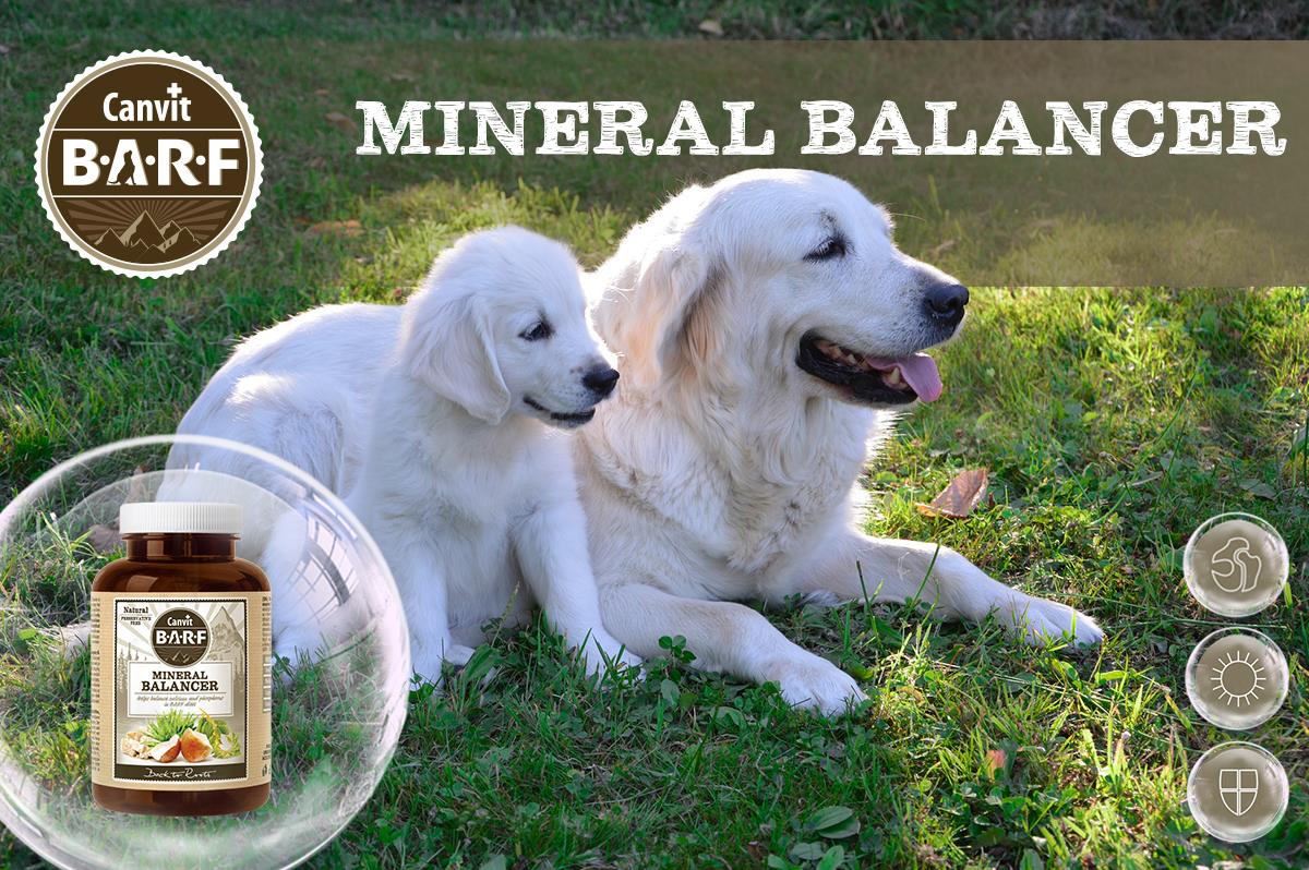 Obrázek CANVIT BARF Mineral Balancer vitamíny pro psy 260 g (2)