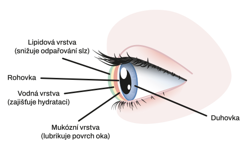 Obrázok ENEO Occusept očné kvapky 2x 20 ml (9)