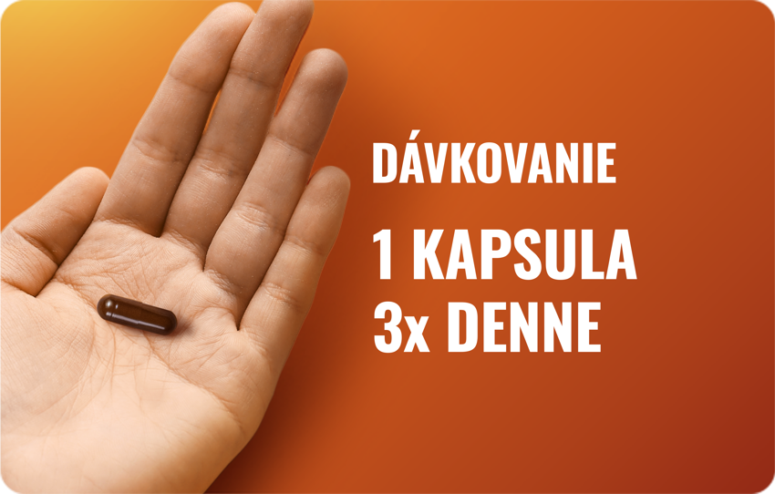 Popis obrázku