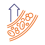 Popis obr&aacute;zku