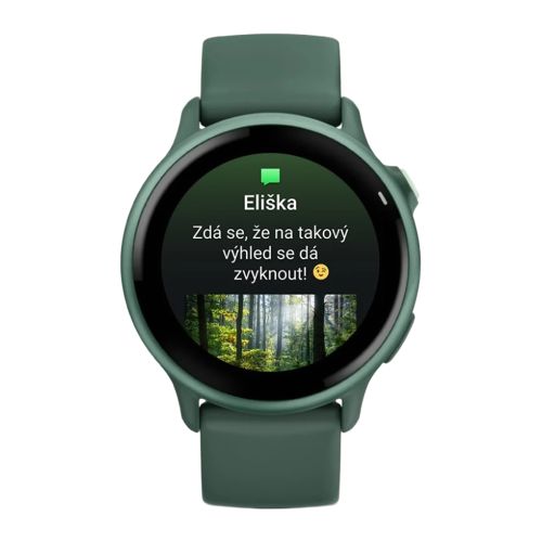 Obrázok GARMIN Vívoactive 6 Metallic Jasper Green/Jasper Green chytré hodinky (7)