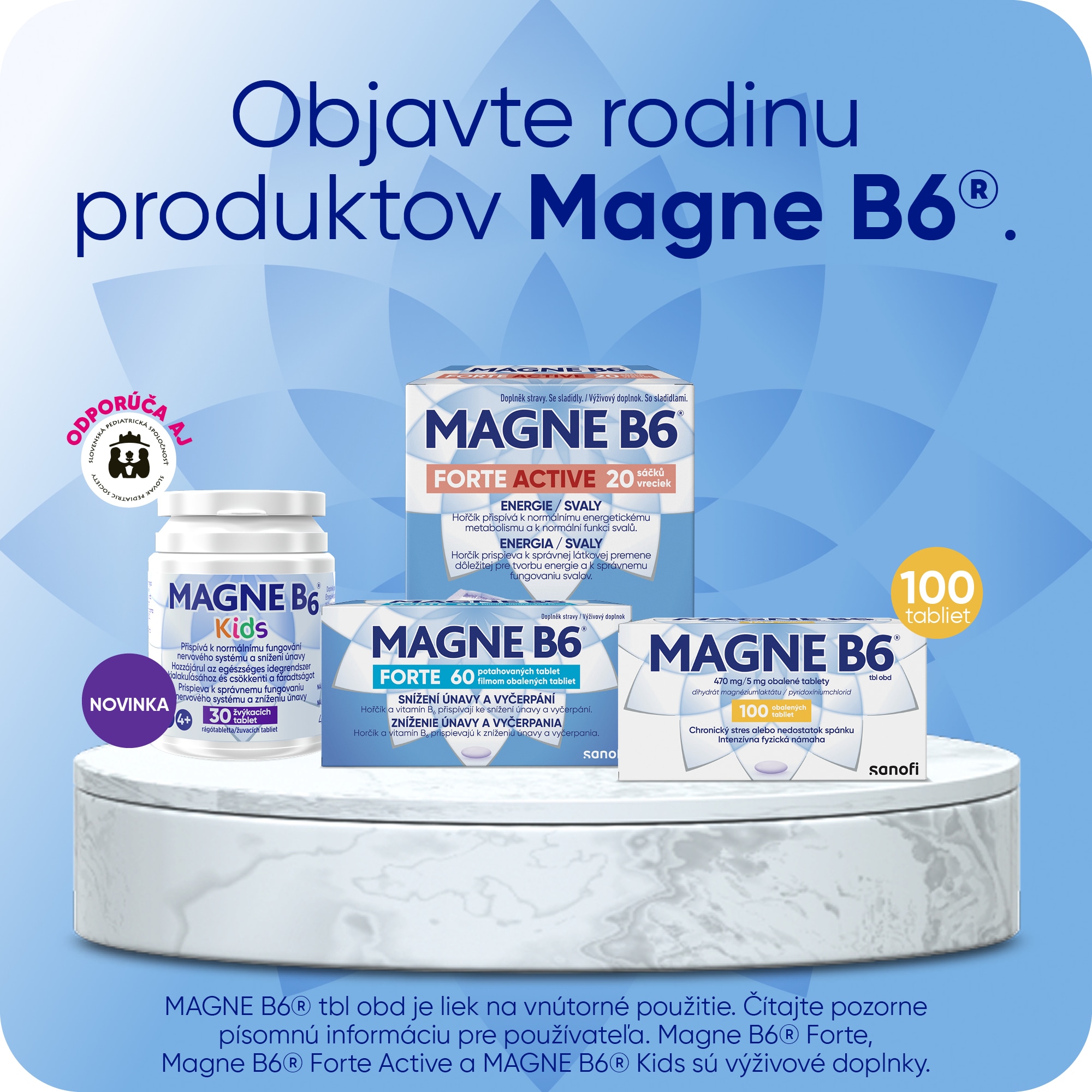 Magne B6