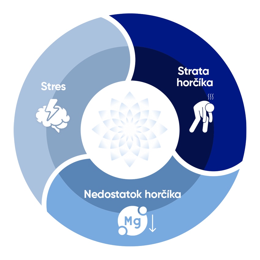 Obrázok MAGNE B6 Forte Active 20 sáčkov (10)