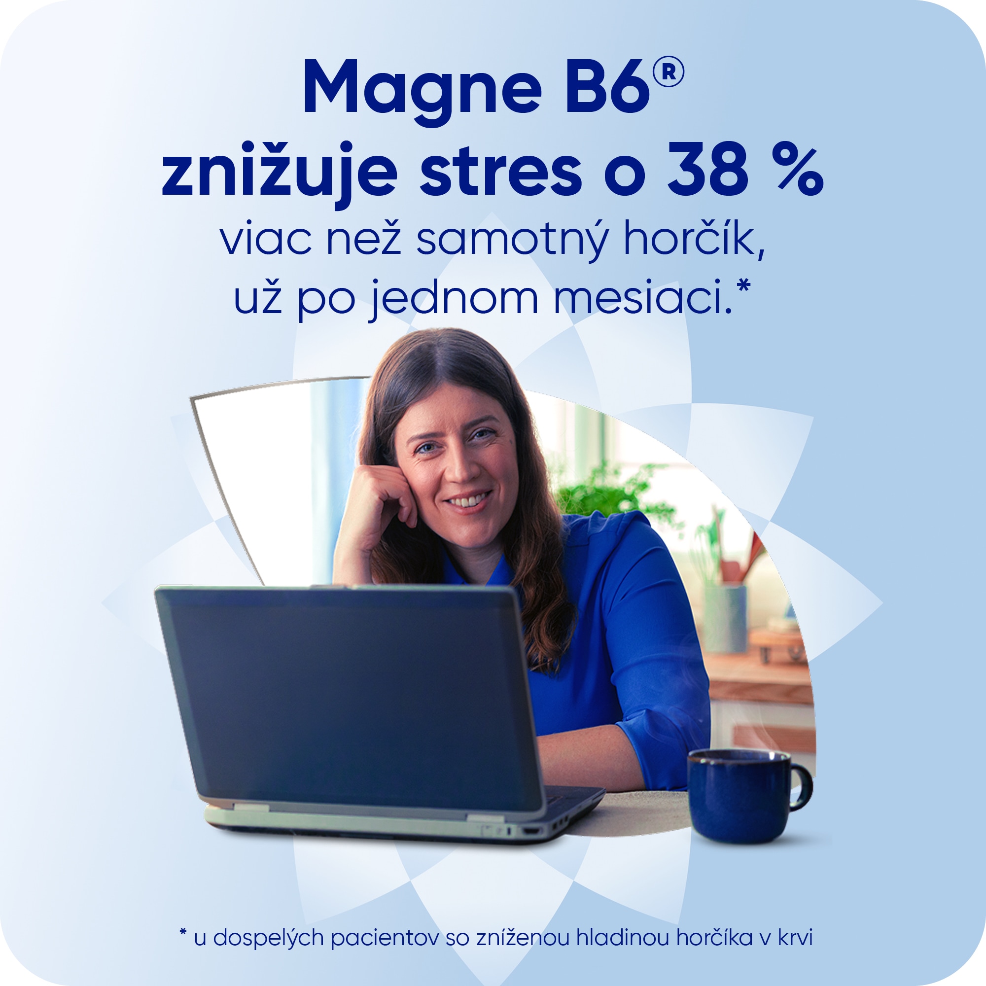 Magne B6