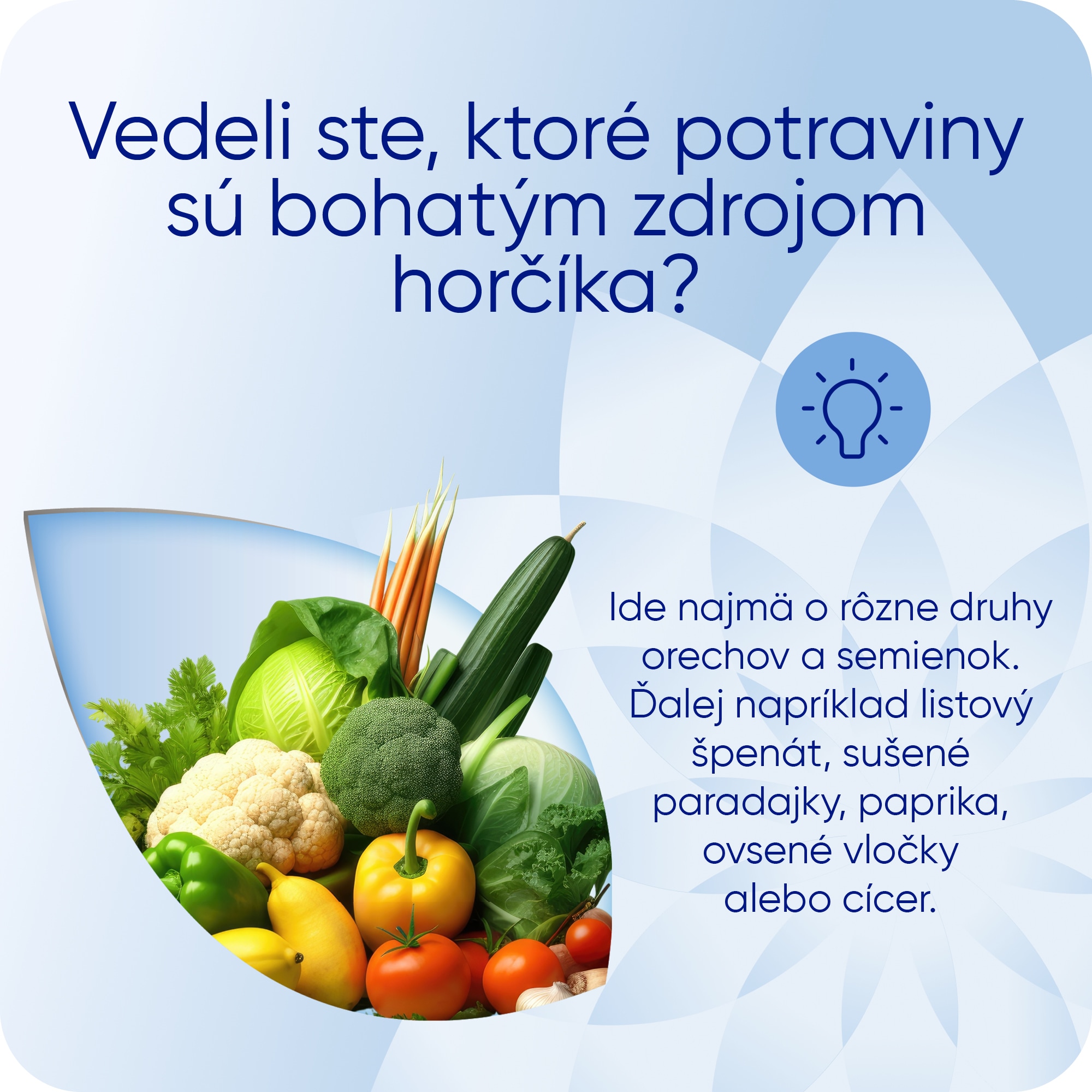 Magne B6 forte active