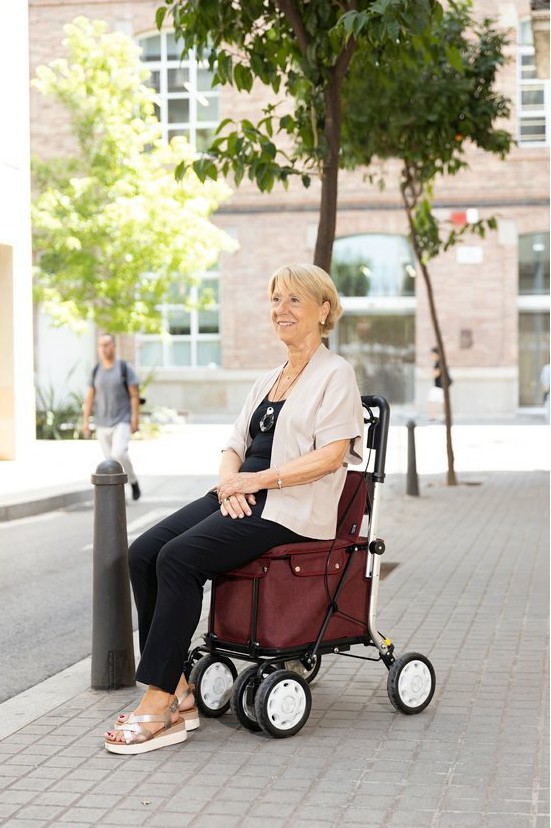 Obr&aacute;zek CARLETT Senior assist n&aacute;kupn&iacute; ta&scaron;ka na kolečk&aacute;ch světle &scaron;ed&aacute; 36l (2)