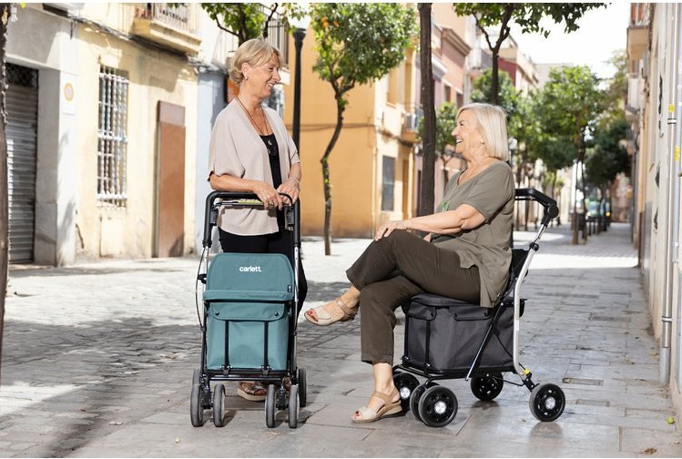 Obr&aacute;zek CARLETT Senior comfort n&aacute;kupn&iacute; ta&scaron;ka na kolečk&aacute;ch tmavě &scaron;ed&aacute; 29l