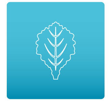 Obr&aacute;zok WOBECARE Enzym 45 kaps&uacute;l (4)