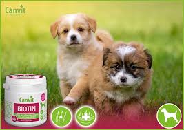 Obrázok CANVIT Biotín ochutené pre psov 100 g (2)