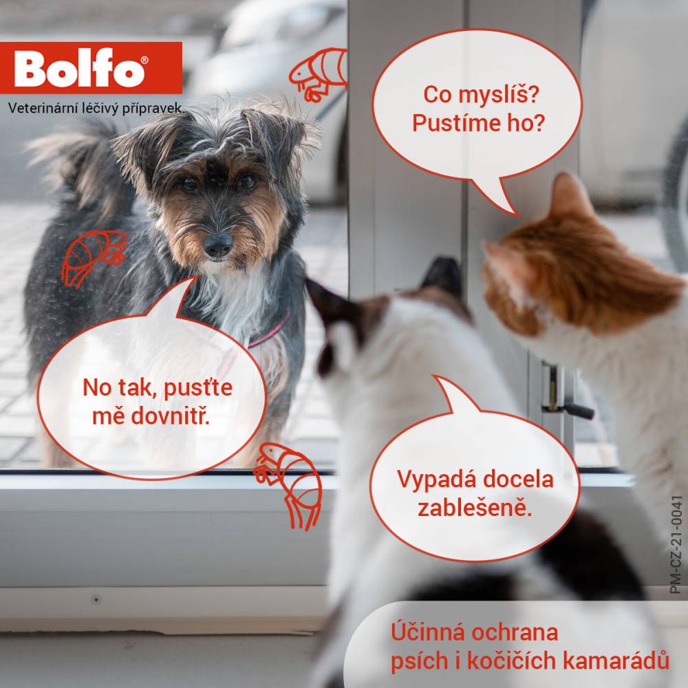 Obrázok BOLFO kožný sprej roztok 2,5 mg/g 250 ml (4)