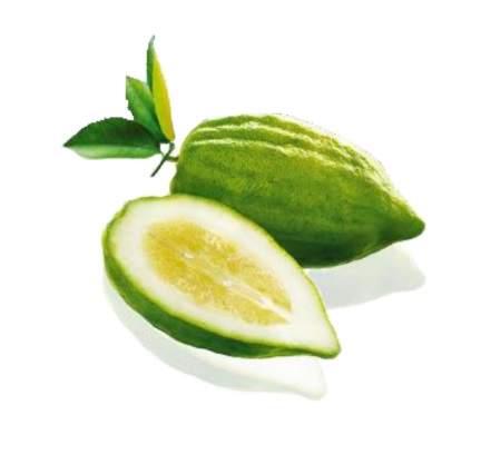 Obrázok CEDRALEX revitalizačný krém na nohy 150 ml