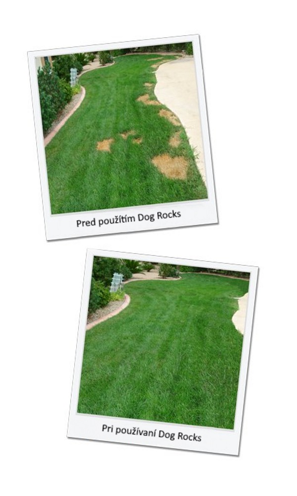 Obrázok DOG ROCKS Vulkanické kamene do vody pre psa (5)