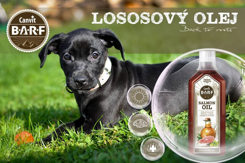 Obrázek CANVIT BARF lososový olej pro psy 500 ml (2)
