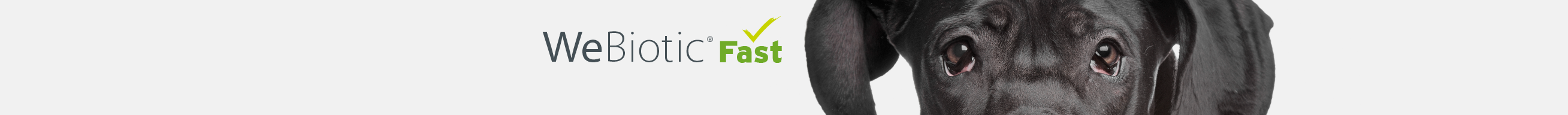 Obrázek WEPHARM WeBiotic Fast pro velká plemena psů 30 ml