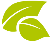 Obrázok STREPHERBAL Propolis a rakytník 24 pastiliek (13)