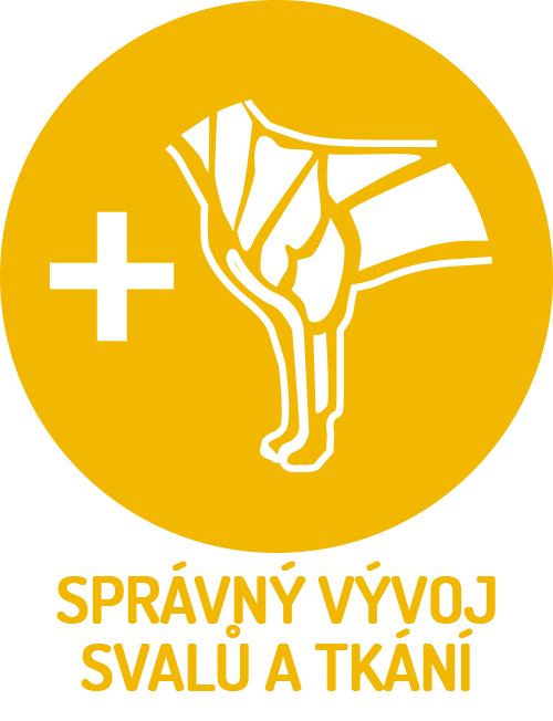 Obr&aacute;zok BRIT Care Adult Medium Breed Lamb & Rice granule pre psov 3 kg (3)