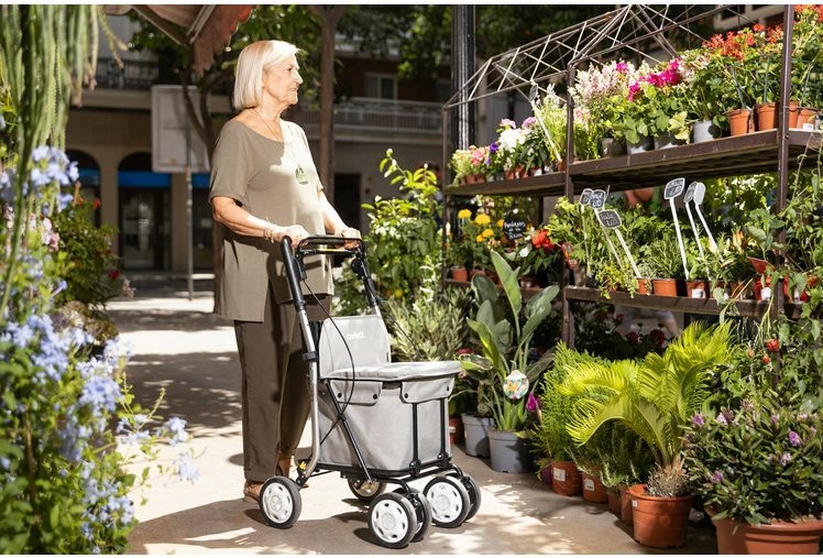 Obr&aacute;zek CARLETT Senior comfort n&aacute;kupn&iacute; ta&scaron;ka na kolečk&aacute;ch tmavě &scaron;ed&aacute; 29l (2)