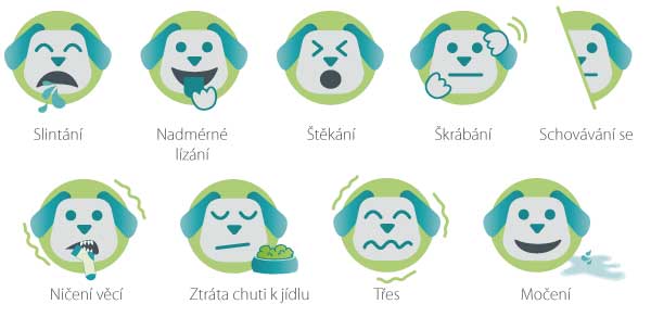 Obrázek WEPHARM WeCalm pro psy a kočky 30 tablet (2)