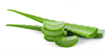 Obrázok BARNY'S ACTIValoe Forte 3x500 ml Vianočné balenie