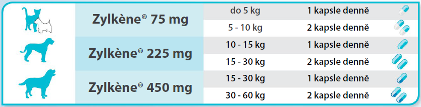 Obr&aacute;zek ZYLKENE 450mg 10 x 10 kapsl&iacute;