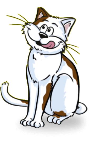 Obr&aacute;zok DREAMIES poch&uacute;ťka pre mačky s kurac&iacute;m 60 g