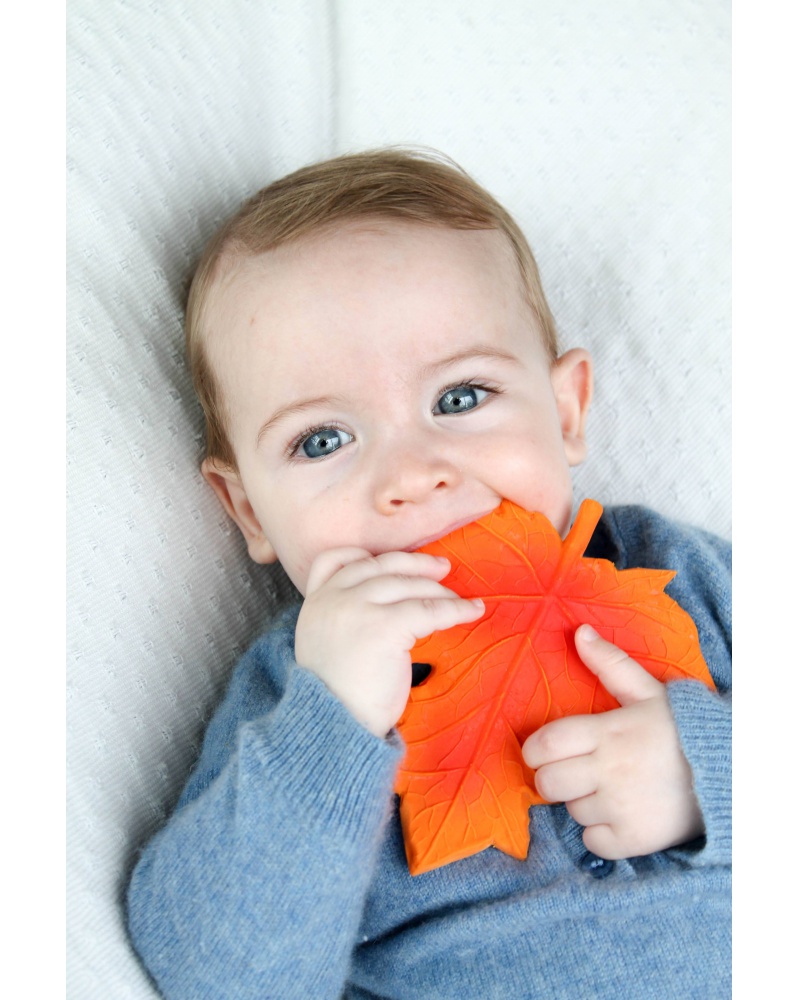 Obr&aacute;zok LANCO Hryzadlo jesenn&yacute; list