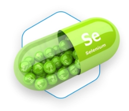 Obrázok BARNY'S Kolostrum s BETA-GLUKÁNMI forte 70 kapsúl Vianočné balenie (3)