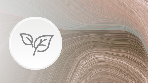 Obr&aacute;zok LOVI tanieriky Tamarillo 2 ks